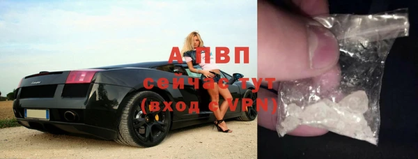 бошки Богданович