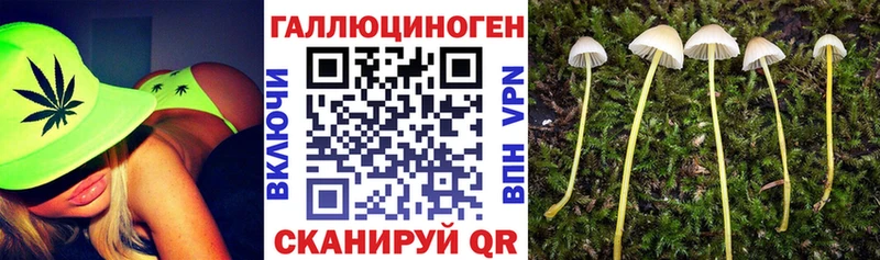 Галлюциногенные грибы мухоморы  Купить  Маркс 